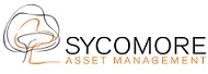 SYCO Newlogo_OK HD